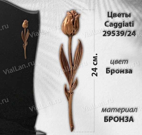 Цветы Caggiati 29 539/24 (Материал Бронза, Цвет Бронза) арт:1442